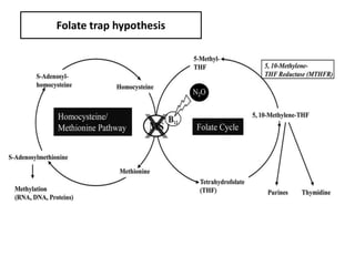 Folate trap hypothesis
 