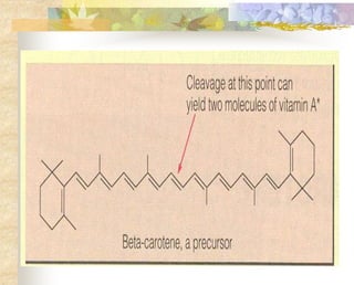 Carotenoids-Structures (1)
 