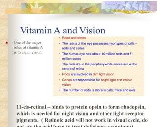 11-cis-retinal – binds to protein opsin to form rhodopsin,
which is needed for night vision and other light receptor
pigments. ( Retinoic acid will not work in visual cycle, do
Vitamin A and Vision
 One of the major
roles of vitamin A
is to aid in vision.
 