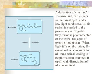 A derivative of vitamin A,
11-cis-retinal, participates
in the visual cycle under
low-light conditions. 11-cis-
retinal is coupled to the
protein opsin. Together
they form the photoreceptor
of the retinal rod cells of
eyes i.e rhodoposin. When
light falls on the retina, 11-
cis-retinal is isomerized to
all-trans-retinal leading to
conformational changes in
opsin with dissociation of
all-trans-retinal.
 