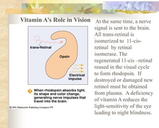 Vitamin A’s Role in Vision At the same time, a nerve
signal is sent to the brain.
All trans-retinal is
isomerized to 11-cis-
retinal by retinal
isomerase. The
regenerated 11-cis –retinal
reused in the visual cycle
to form rhodopsin. If
destroyed or damaged new
retinol must be obtained
from plasma. A deficiency
of vitamin A reduces the
light-sensitivity of the eye
leading to night blindness.
 