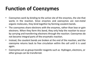 Function of Coenzymes
• Coenzymes work by binding to the active site of the enzymes, the site that
works in the reaction. Since enzymes and coenzymes are non-metal
organic molecules, they bind together by forming covalent bonds.
• The coenzymes share electrons with the enzymes, rather than lose or gain
electrons. When they form this bond, they only help the reaction to occur
by carrying and transferring electrons through the reaction. Coenzymes do
not become integral parts of the enzymatic reaction.
• Instead, the covalent bonds are broken at the end of the reaction, and the
coenzyme returns back to free circulation within the cell until it is used
again.
• Coenzymes act as group-transfer reagents such as Hydrogen, electrons, or
other groups can be transferred.
 