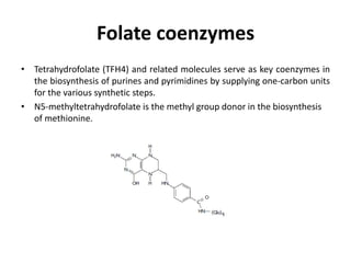 Folate coenzymes
• Tetrahydrofolate (TFH4) and related molecules serve as key coenzymes in
the biosynthesis of purines and pyrimidines by supplying one-carbon units
for the various synthetic steps.
• N5-methyltetrahydrofolate is the methyl group donor in the biosynthesis
of methionine.
 