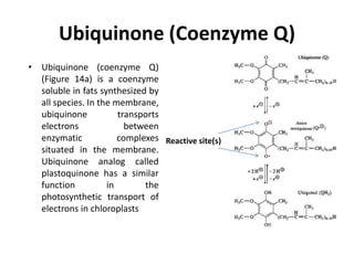 Ubiquinone (Coenzyme Q)
Reactive site(s)
• Ubiquinone (coenzyme Q)
(Figure 14a) is a coenzyme
soluble in fats synthesized by
all species. In the membrane,
ubiquinone transports
electrons between
enzymatic complexes
situated in the membrane.
Ubiquinone analog called
plastoquinone has a similar
function in the
photosynthetic transport of
electrons in chloroplasts
 