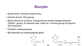 Plant Biochemistry, Vitamins and Coenzymes | PDF