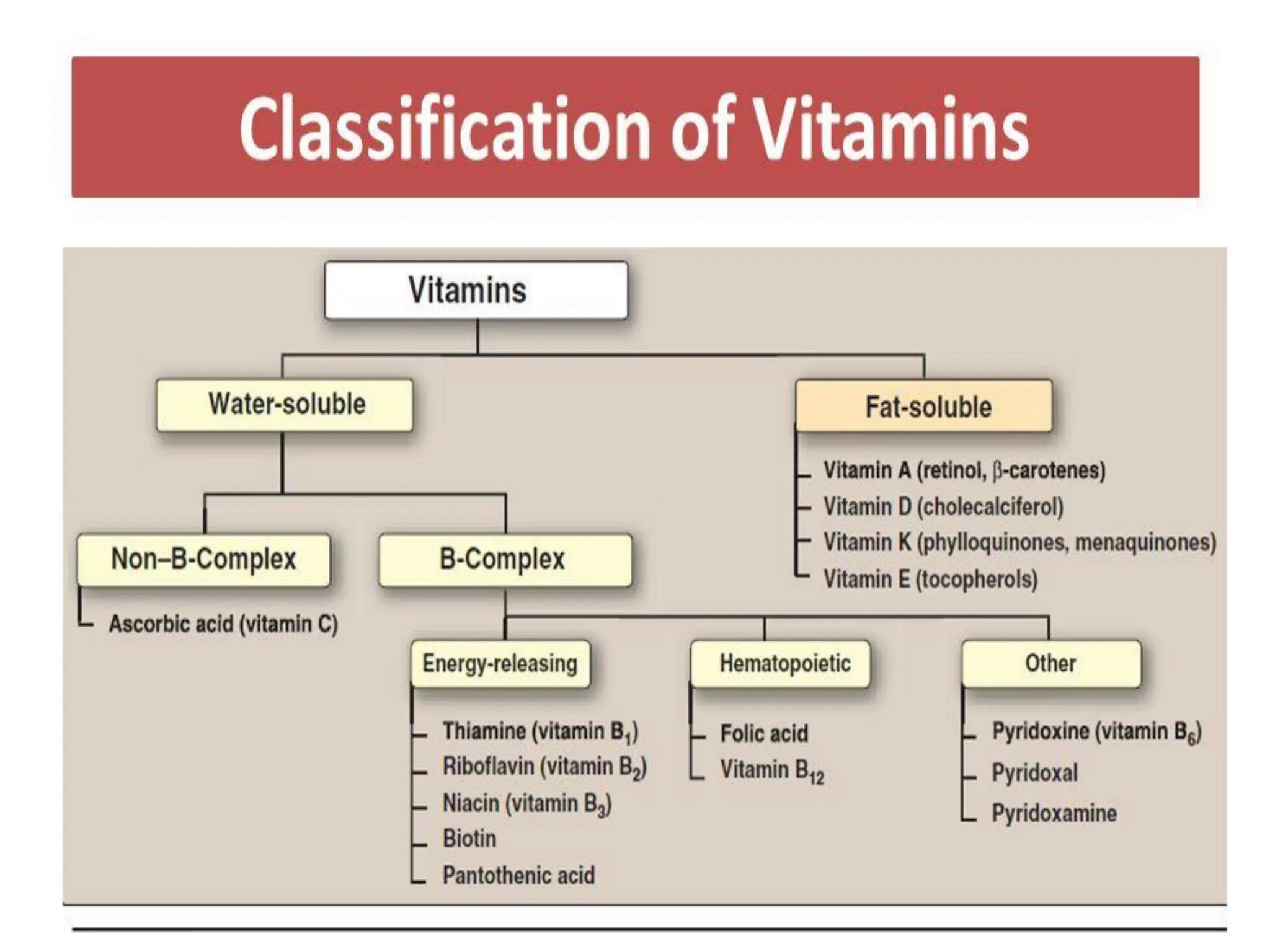 Vitamins and Minerals.general introduction with some details for ...
