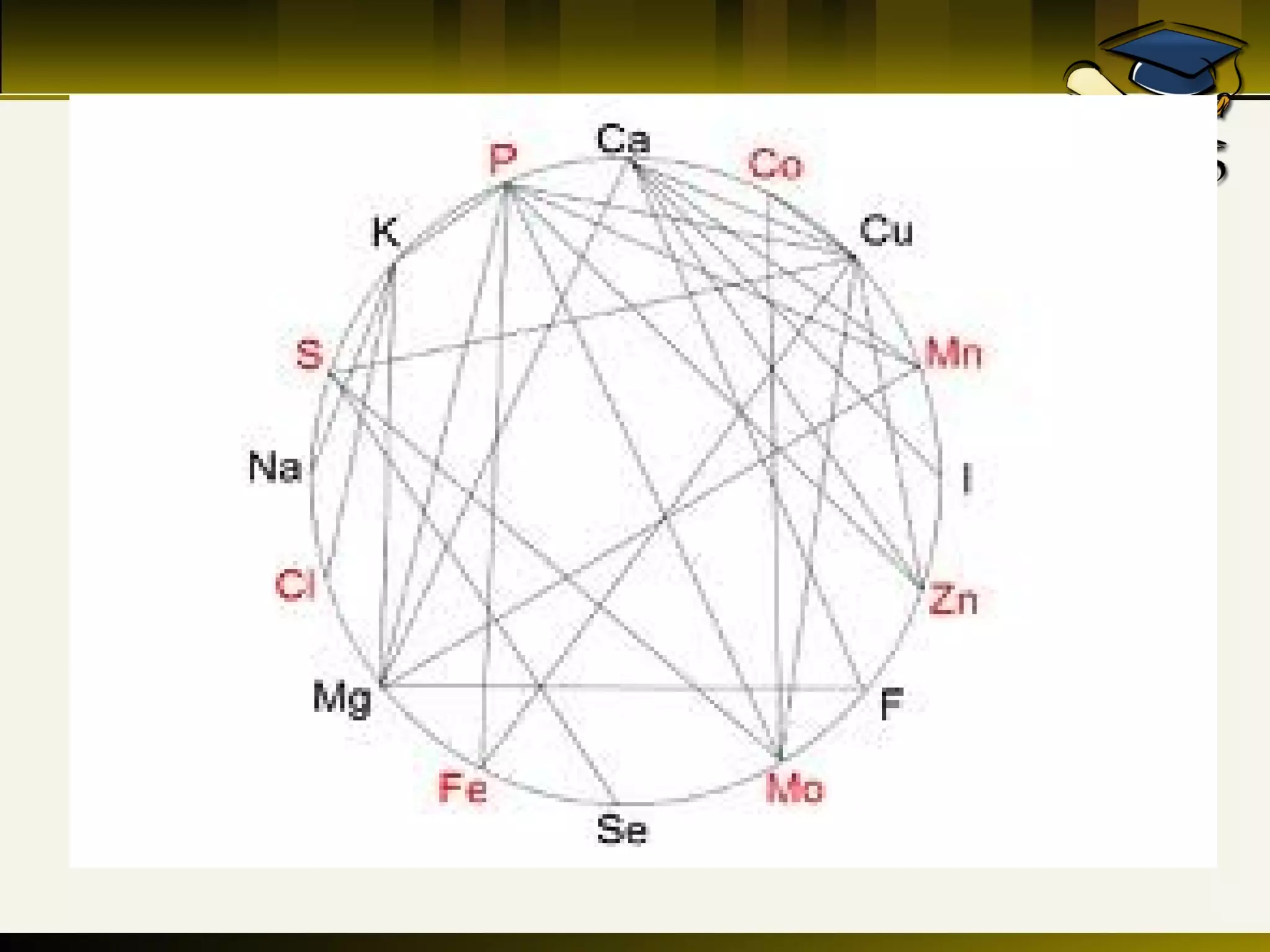 Minerals, vitamins and their interractoins in poultry rations | PPT