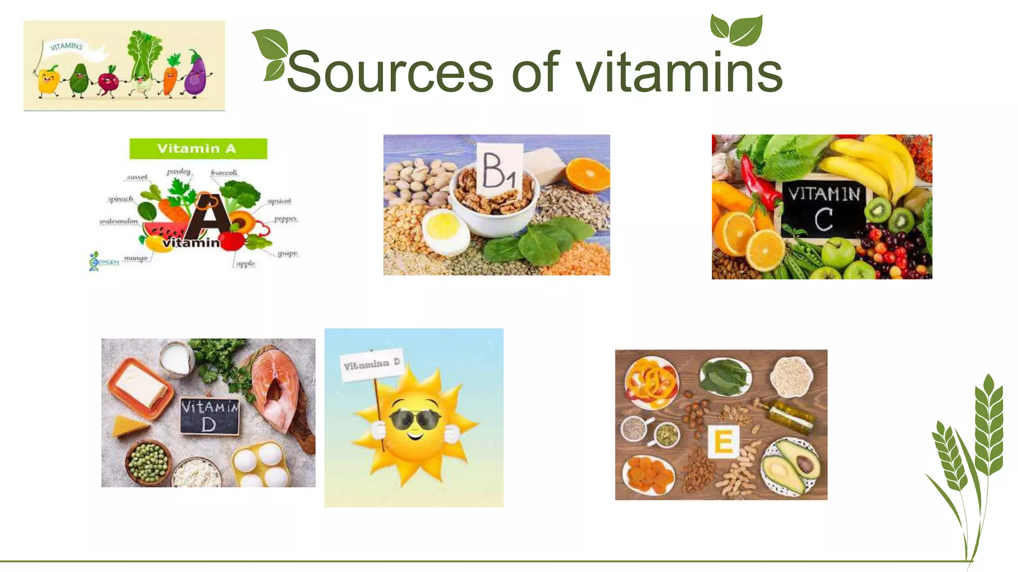 Vitamin visual data 4