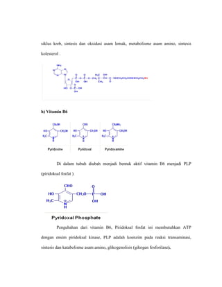 siklus kreb, sintesis dan oksidasi asam lemak, metabolisme asam amino, sintesis
kolesterol .
h) Vitamin B6
Di dalam tubuh diubah menjadi bentuk aktif vitamin B6 menjadi PLP
(piridoksal fosfat )
Pengubahan dari vitamin B6, Piridoksal fosfat ini membutuhkan ATP
dengan ensim piridoksal kinase, PLP adalah koenzim pada reaksi transaminasi,
sintesis dan katabolisme asam amino, glikogenolisis (gikogen fosforilase).
 