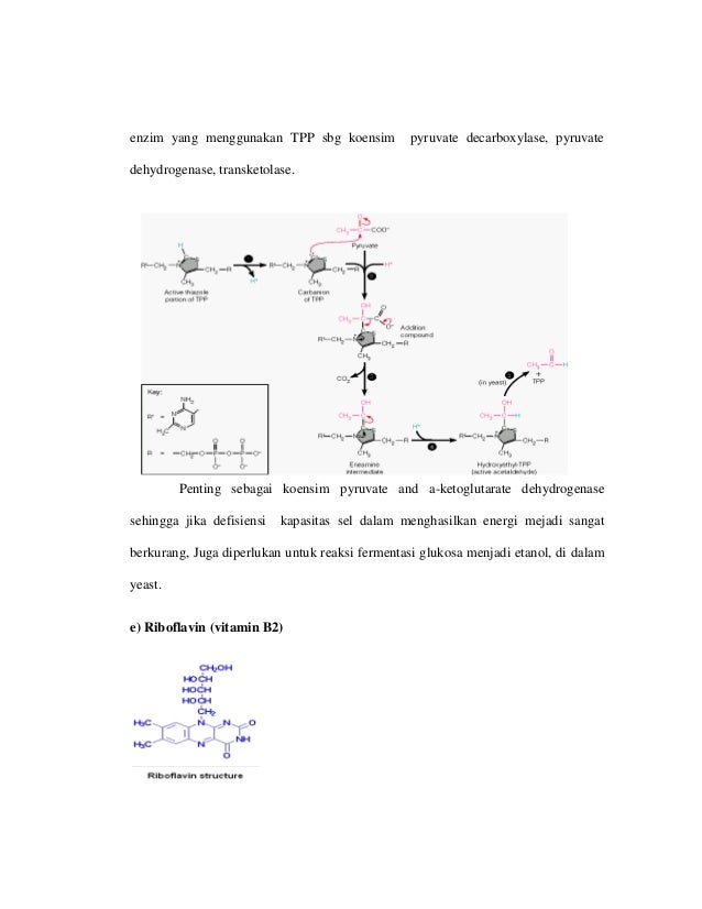 Metabolisme Vitamin