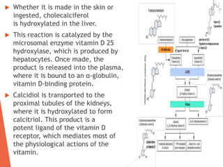  Whether it is made in the skin or
ingested, cholecalciferol
is hydroxylated in the liver.
 This reaction is catalyzed by the
microsomal enzyme vitamin D 25
hydroxylase, which is produced by
hepatocytes. Once made, the
product is released into the plasma,
where it is bound to an α-globulin,
vitamin D-binding protein.
 Calcidiol is transported to the
proximal tubules of the kidneys,
where it is hydroxylated to form
calcitriol. This product is a
potent ligand of the vitamin D
receptor, which mediates most of
the physiological actions of the
vitamin.
 