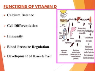 FUNCTIONS OF VITAMIN D
 Calcium Balance
 Cell Differentiation
 Immunity
 Blood Pressure Regulation
 Development of Bones & Teeth
 
