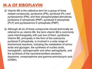 M/A OF RIBOFLAVIN
 Vitamin B6 is the collective term for a group of three
related compounds, pyridoxine (PN), pyridoxal (PL) and
pyridoxamine (PM), and their phosphorylated derivatives,
pyridoxine 5'-phosphate (PNP), pyridoxal 5'-phosphate
(PLP) and pyridoxamine 5'-phosphate (PMP).
 Although all six of these compounds should technically be
referred to as vitamin B6, the term vitamin B6 is commonly
used interchangeably with just one of them, pyridoxine.
Vitamin B6, principally in the form of the coenzyme
pyridoxal 5'-phosphate, is involved in a wide range of
biochemical reactions, including the metabolism of amino
acids and glycogen, the synthesis of nucleic acids,
hemogloblin, sphingomyelin and other sphingolipids, and
the synthesis of the neurotransmitters serotonin,
dopamine, norepinephrine and gamma-aminobutyric acid
(GABA).
 