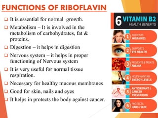 FUNCTIONS OF RIBOFLAVIN
 It is essential for normal growth.
 Metabolism – It is involved in the
metabolism of carbohydrates, fat &
proteins.
 Digestion – it helps in digestion
 Nervous system – it helps in proper
functioning of Nervous system
 It is very useful for normal tissue
respiration.
 Necessary for healthy mucous membranes
 Good for skin, nails and eyes
 It helps in protects the body against cancer.
 
