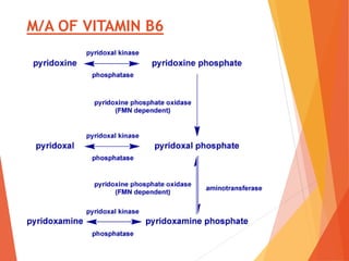 M/A OF VITAMIN B6
 