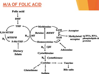 M/A OF FOLIC ACID
 