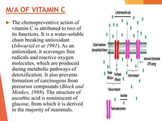 M/A OF VITAMIN C
 The chemopreventive action of
vitamin C is attributed to two of
its functions. It is a water-soluble
chain breaking antioxidant
(Ishwarial et at 1991). As an
antioxidant, it scavenges free
radicals and reactive oxygen
molecules, which are produced
during metabolic pathways of
detoxification. It also prevents
formation of carcinogens from
precursor compounds (Block and
Menkes, 1988). The structure of
ascorbic acid is reminiscent of
glucose, from which it is derived
in the majority of mammals.
 