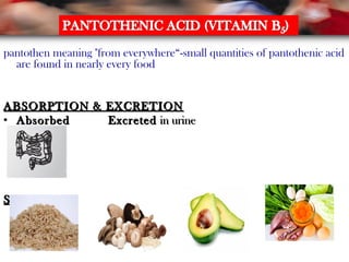 pantothen meaning "from everywhere“-small quantities of pantothenic acid
are found in nearly every food
ABSORPTION & EXCRETIONABSORPTION & EXCRETION
• AbsorbedAbsorbed ExcretedExcreted in urinein urine
SOURCESSOURCES
 