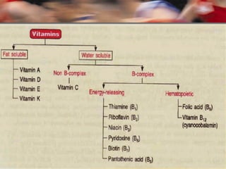 Water – solubleWater – soluble
Vitamin B complexVitamin B complex
Vitamin BVitamin B11(thiamine)(thiamine)
Vitamin BVitamin B22 (riboflavin)(riboflavin)
Vitamin BVitamin B33 (niacin)(niacin)
Vitamin BVitamin B55 ( pantothenic acid )( pantothenic acid )
Vitamin BVitamin B66 (pyridoxine)(pyridoxine)
Vitamin BVitamin B88 (biotin)(biotin)
Vitamin BVitamin B99 (folic acid)(folic acid)
Vitamin BVitamin B1212 (cyanocobalamin)(cyanocobalamin)
Vitamin C (Ascorbic acid)Vitamin C (Ascorbic acid)
Fat-SolubleFat-Soluble
Vitamin AVitamin A
Vitamin DVitamin D
Vitamin EVitamin E
Vitamin KVitamin K
 