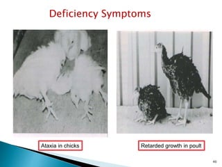 Vitamins in animals | PPTX