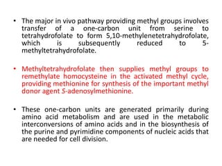 • The major in vivo pathway providing methyl groups involves
transfer of a one-carbon unit from serine to
tetrahydrofolate to form 5,10-methylenetetrahydrofolate,
which is subsequently reduced to 5-
methyltetrahydrofolate.
• Methyltetrahydrofolate then supplies methyl groups to
remethylate homocysteine in the activated methyl cycle,
providing methionine for synthesis of the important methyl
donor agent S-adenosylmethionine.
• These one-carbon units are generated primarily during
amino acid metabolism and are used in the metabolic
interconversions of amino acids and in the biosynthesis of
the purine and pyrimidine components of nucleic acids that
are needed for cell division.
 