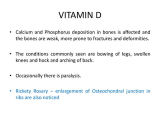 VITAMIN D
• Calcium and Phosphorus deposition in bones is affected and
the bones are weak, more prone to fractures and deformities.
• The conditions commonly seen are bowing of legs, swollen
knees and hock and arching of back.
• Occasionally there is paralysis.
• Rickety Rosary – enlargement of Osteochondral junction in
ribs are also noticed
 