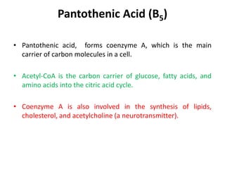 Pantothenic Acid (B5)
• Pantothenic acid, forms coenzyme A, which is the main
carrier of carbon molecules in a cell.
• Acetyl-CoA is the carbon carrier of glucose, fatty acids, and
amino acids into the citric acid cycle.
• Coenzyme A is also involved in the synthesis of lipids,
cholesterol, and acetylcholine (a neurotransmitter).
 