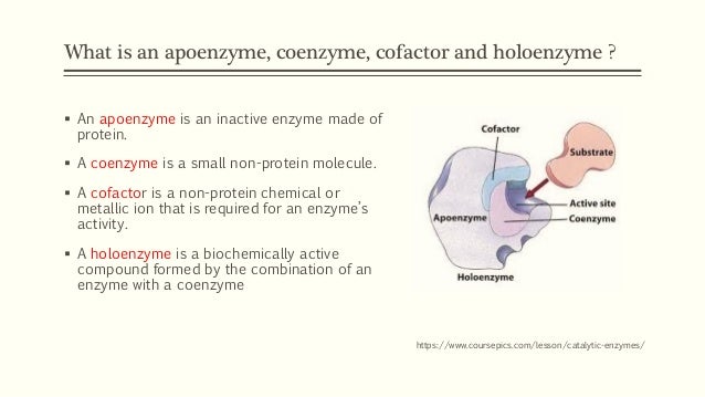B Complex Health Benefits Nutrients Per Serving Uses