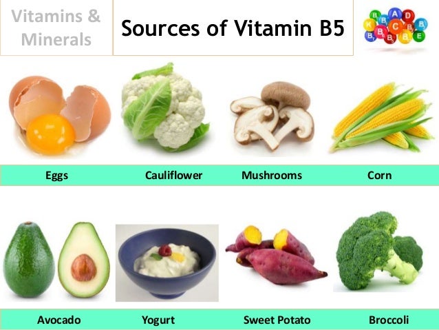 Foods High In N Production Foods High In N Production