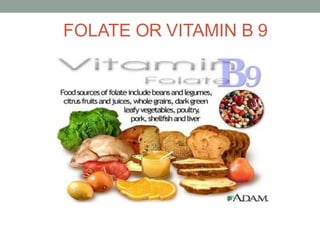 FOLATE OR VITAMIN B 9
 