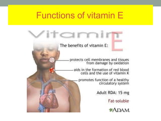 Functions of vitamin E
 