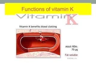 Functions of vitamin K
 