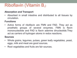 Absorption and Transport
• Absorbed in small intestine and distributed to all tissues by
circulation.
Functions
• Active forms of riboflavin are FMN and FAD. They act as
prosthetic groups of several enzymes. FMN is flavin
mononucleotide and FAD is flavin adenine dinucleotide.They
act as carriers of hydrogen atoms in redox reactions.
Sources
• Whole grains, legumes, pulses, green leafy vegetables, yeast,
eggs, milk and meat are good sources.
• Root vegetables and fruits are fair sources.
Riboflavin (Vitamin B2)
 