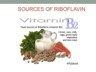 SOURCES OF RIBOFLAVIN
 