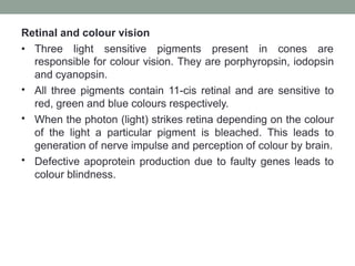 Retinal and colour vision
• Three light sensitive pigments present in cones are
responsible for colour vision. They are porphyropsin, iodopsin
and cyanopsin.
All three pigments contain 11-cis retinal and are sensitive to
red, green and blue colours respectively.
When the photon (light) strikes retina depending on the colour
of the light a particular pigment is bleached. This leads to
generation of nerve impulse and perception of colour by brain.
Defective apoprotein production due to faulty genes leads to
colour blindness.
•
•
•
 