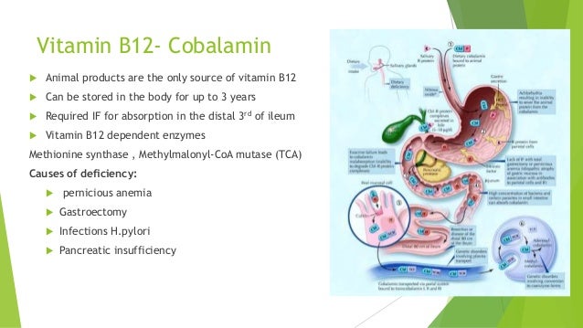Vitamins and Neuropathy