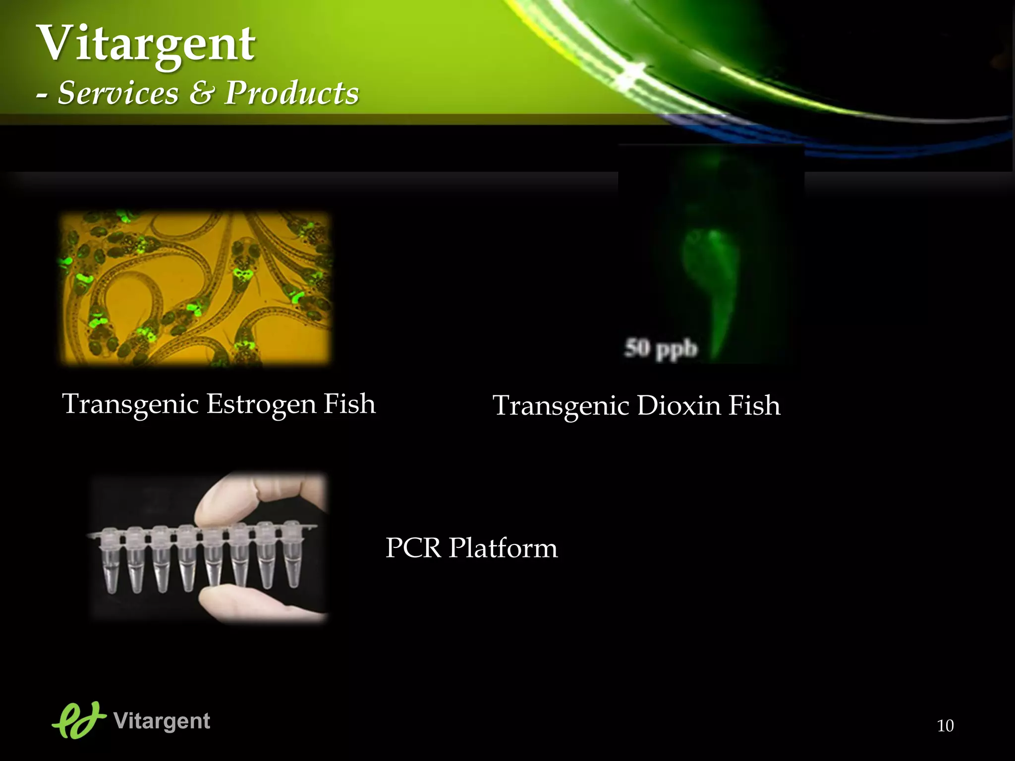 10
Vitargent
- Services & Products
Transgenic Estrogen Fish
Vitargent
Transgenic Dioxin Fish
PCR Platform
 