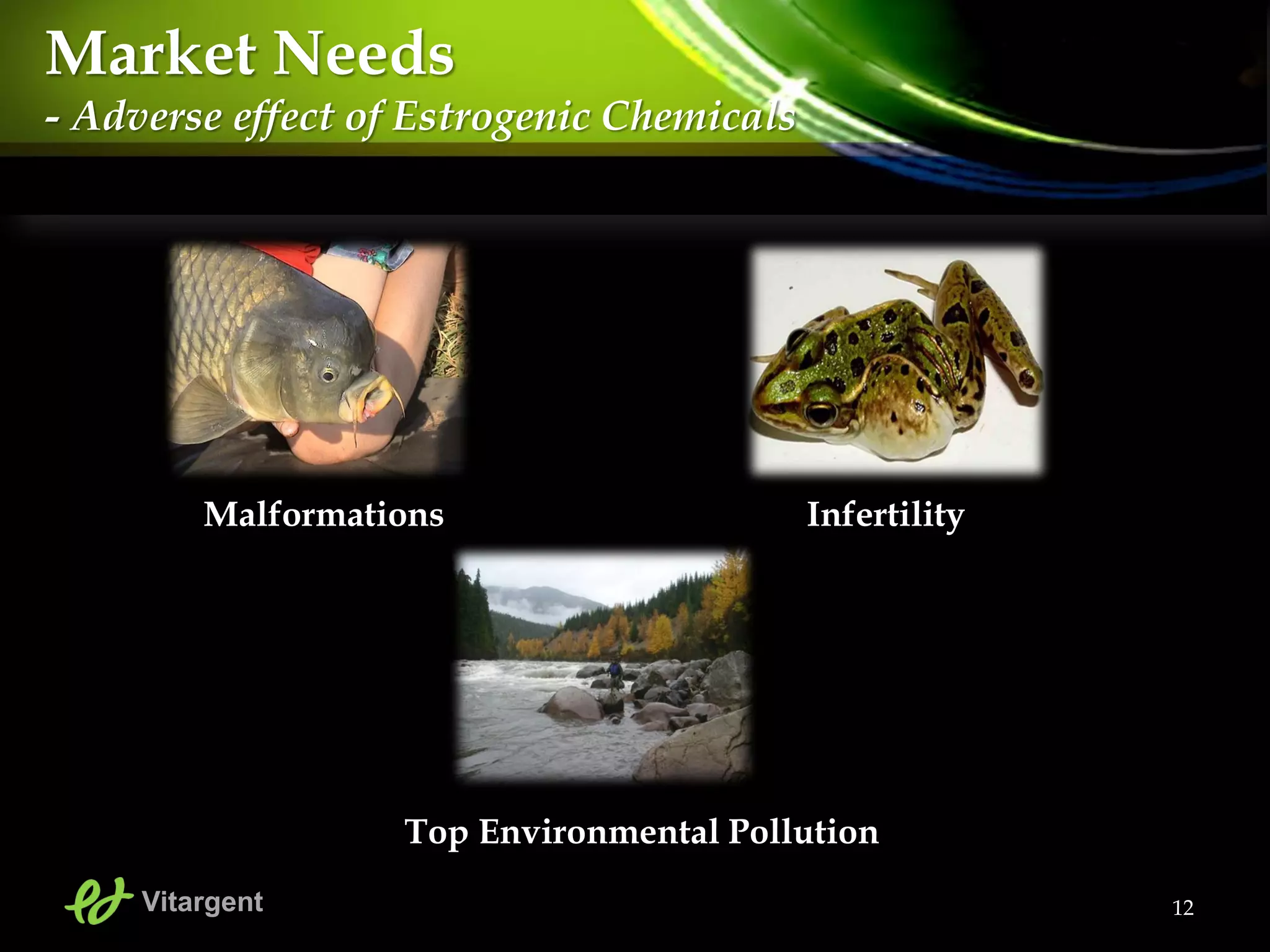 Malformations Infertility
Top Environmental Pollution
12Vitargent
Market Needs
- Adverse effect of Estrogenic Chemicals
 