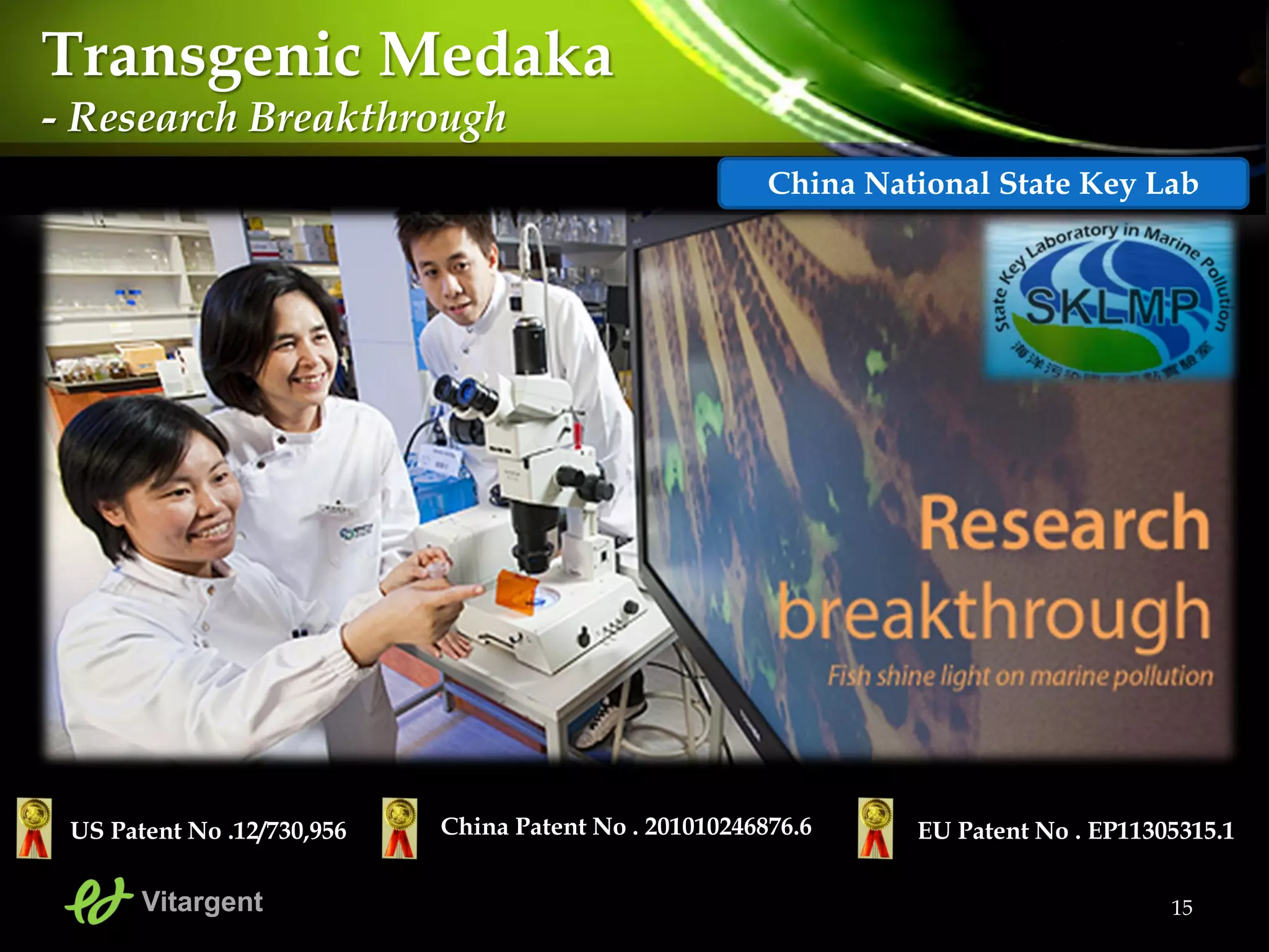15
Transgenic Medaka
- Research Breakthrough
US Patent No .12/730,956 China Patent No . 201010246876.6 EU Patent No . EP11305315.1
Vitargent
China National State Key Lab
 