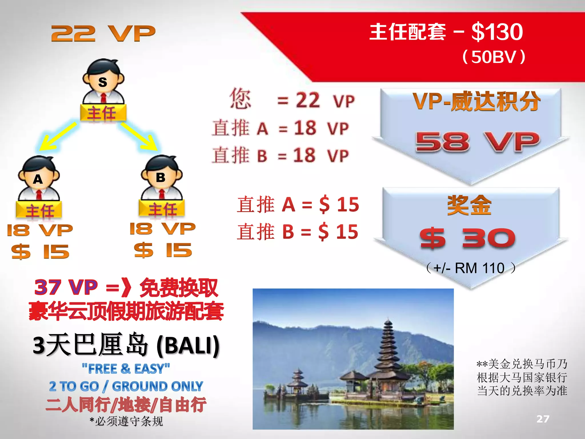 Vitaxel 事业说明| PDF