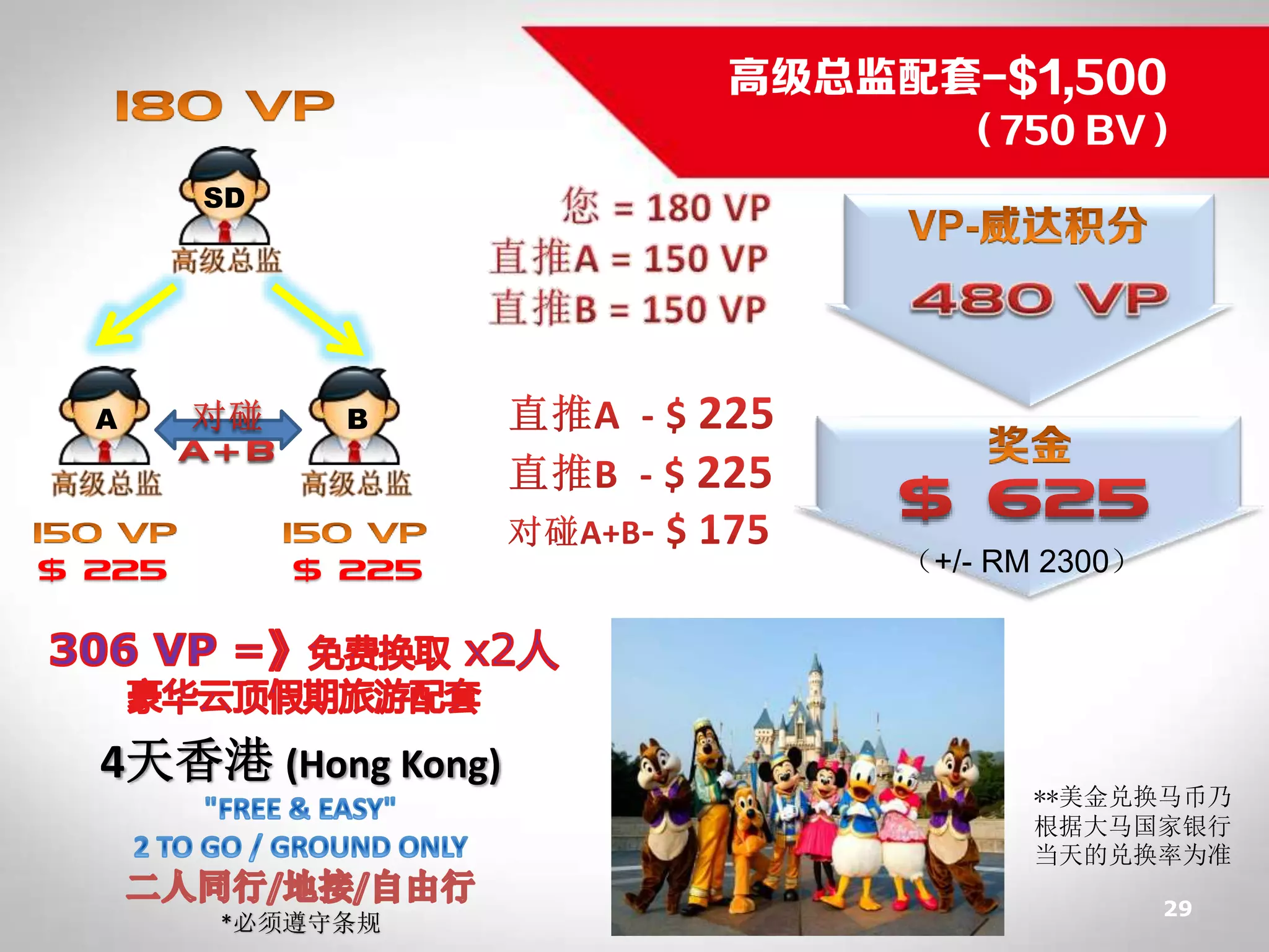 Vitaxel 事业说明| PDF