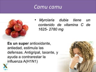 www.fuxionlatino.com
• Myrciaria dubia tiene un
contenido de vitamina C de
1625- 2780 mg
Camu camu
Es un super antioxidante,
antiedad, estimula las
defensas. Antigripal, laxante, y
ayuda a contrarestar la
influenza A(H1N1)
 