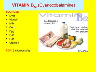 VITAMIN B12 (Cyanocobalamine)
SOURCES
 Liver
 Kidney
 Milk
 Curd
 Egg
 Fish
 Fish
 Chicken
RDA: 3 microgm/day
 