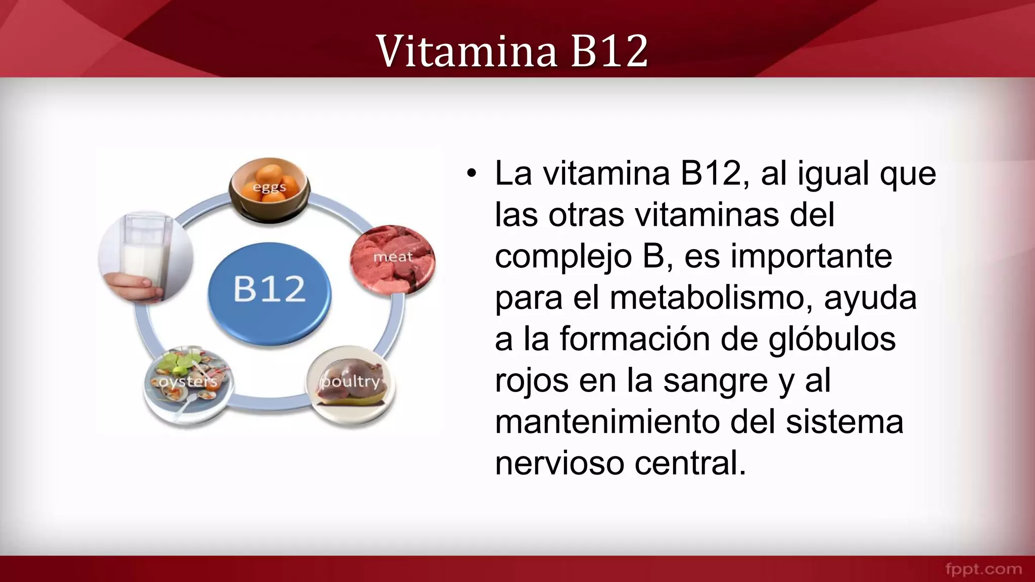 Alimentos ricos en Vitamina B12 (Cianocobalamina) | PPTX