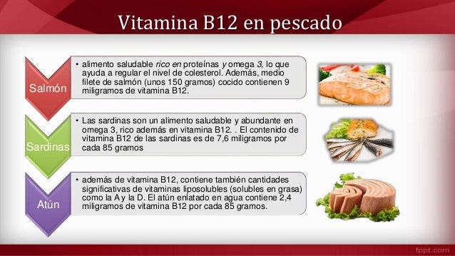 alimentos que contienen vitaminas b12 alimentos ricos en vitamina b12 cianocobalamina alimentos que contienen vitaminas b12 alimentos ricos en vitamina b12 cianocobalamina