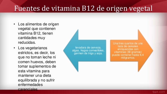 Alimentos ricos en Vitamina B12 (Cianocobalamina)