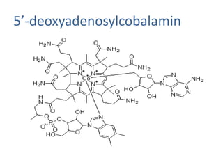 5’-deoxyadenosylcobalamin
 