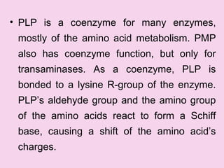 • PLP is a coenzyme for many enzymes,
mostly of the amino acid metabolism. PMP
also has coenzyme function, but only for
transaminases. As a coenzyme, PLP is
bonded to a lysine R-group of the enzyme.
PLP’s aldehyde group and the amino group
of the amino acids react to form a Schiff
base, causing a shift of the amino acid’s
charges.
 