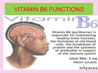 VITAMIN B6 FUNCTIONS
 