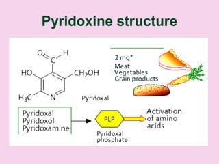 Pyridoxine structure
 